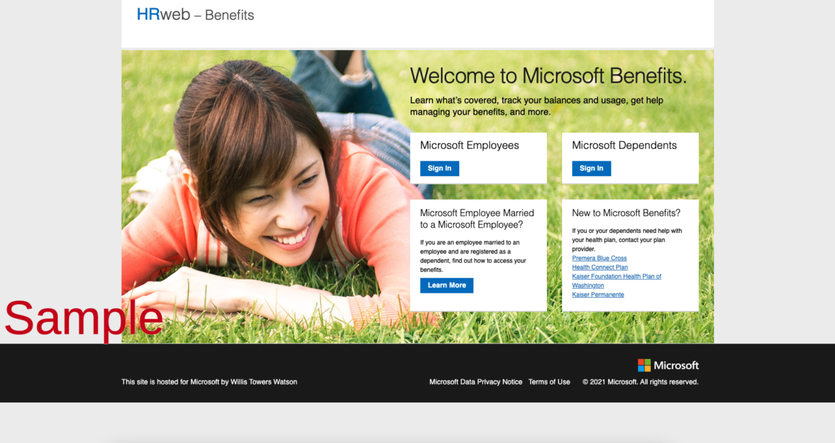 microsoft employee travel benefits