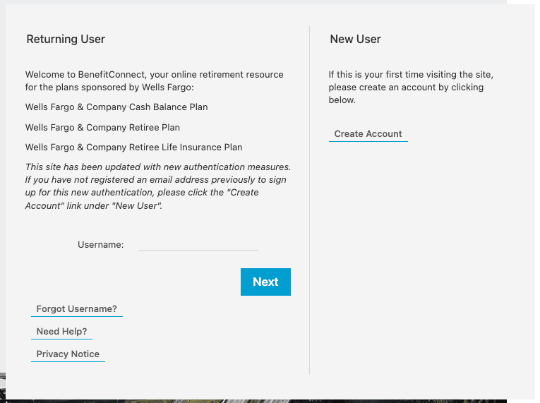 Wells Fargo Employee Benefits 2023 401k Team Member