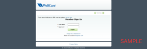 WellCare Kentucky Health Plan 2023 | Medicaid| Member Portal | Member Benefits | kentucky.wellcare.com